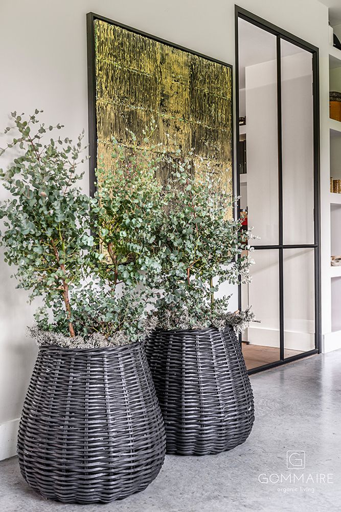 Decorative objects - Palm planter basket - GOMMAIRE