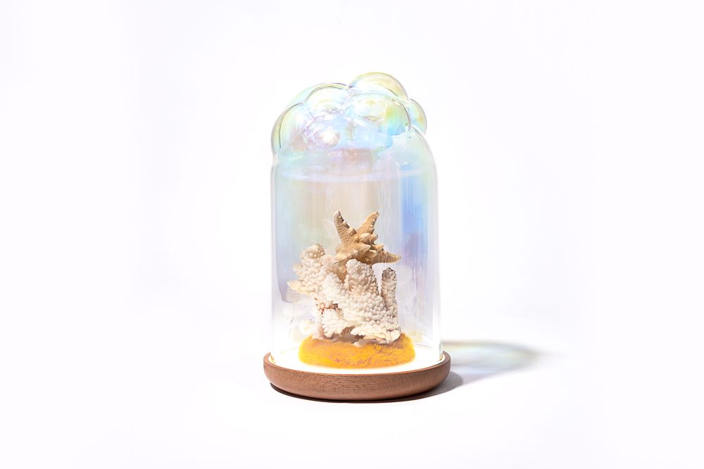 Customizable objects - Bubbling Light Dome | LED table lamp - Wood - YELLOWDOT DESIGN STUDIO