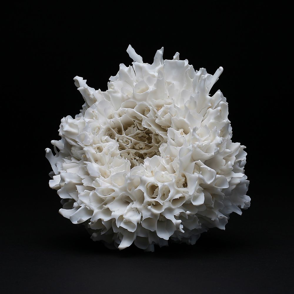 Sculptures, statuettes et miniatures - Entre les marées - porcelaine fabriquée à la main - CLAUDIA BIEHNE