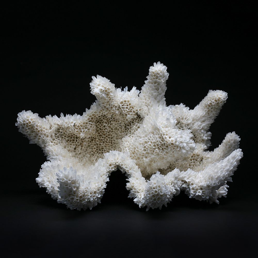 Sculptures, statuettes et miniatures - Entre les marées - porcelaine fabriquée à la main - CLAUDIA BIEHNE