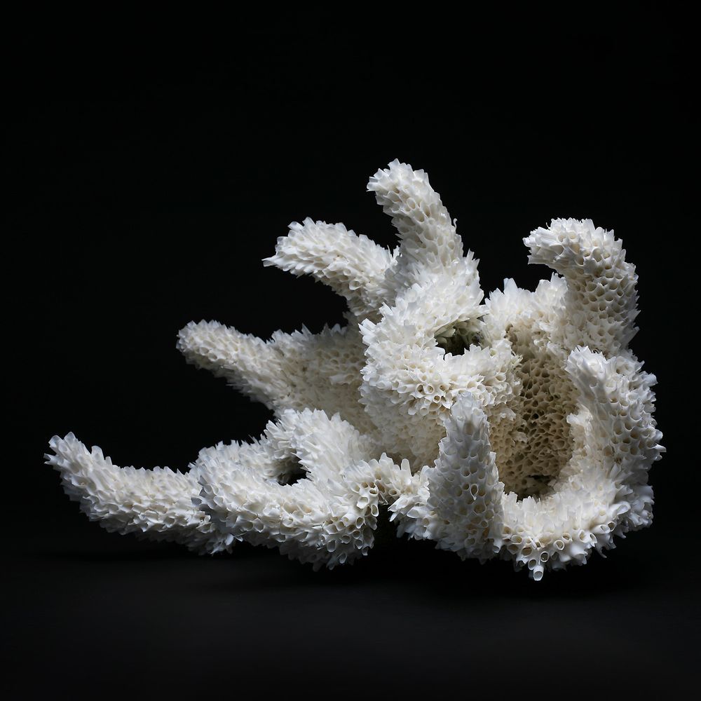 Sculptures, statuettes et miniatures - Entre les marées - porcelaine fabriquée à la main - CLAUDIA BIEHNE