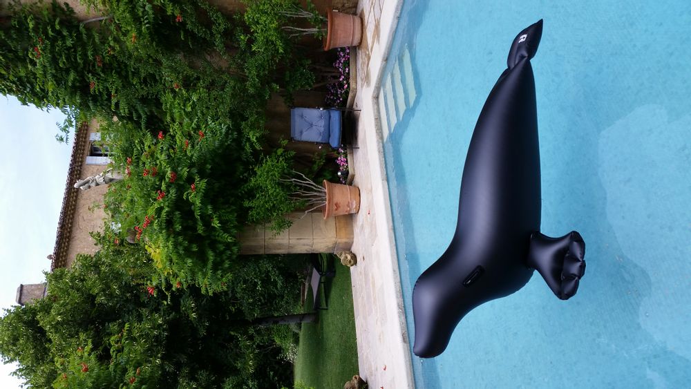 Verandas - Black Inflatable Seal - PIGRO FELICE