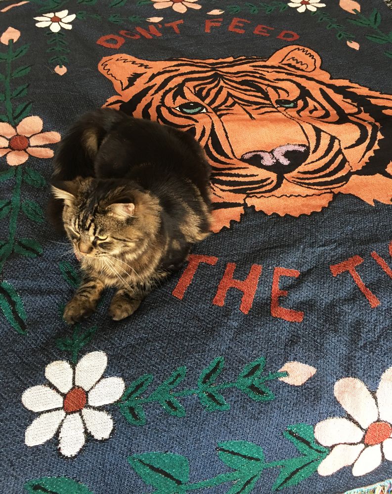 Design objects - Rosie Wonders - Blankets and Cushions - ROSIE WONDERS