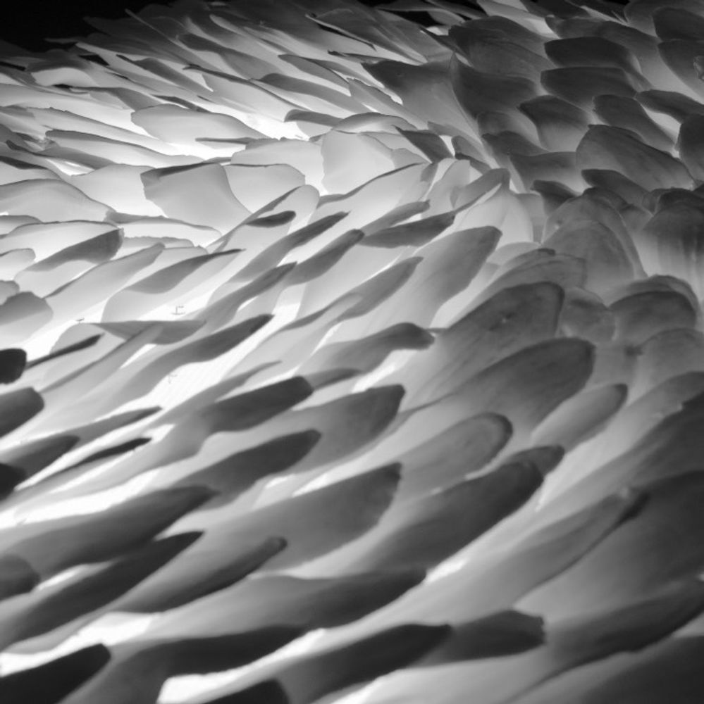 Céramique - Mezza Luce "Maïssa" - Luminaire en porcelaine - BARBARA BILLOUD