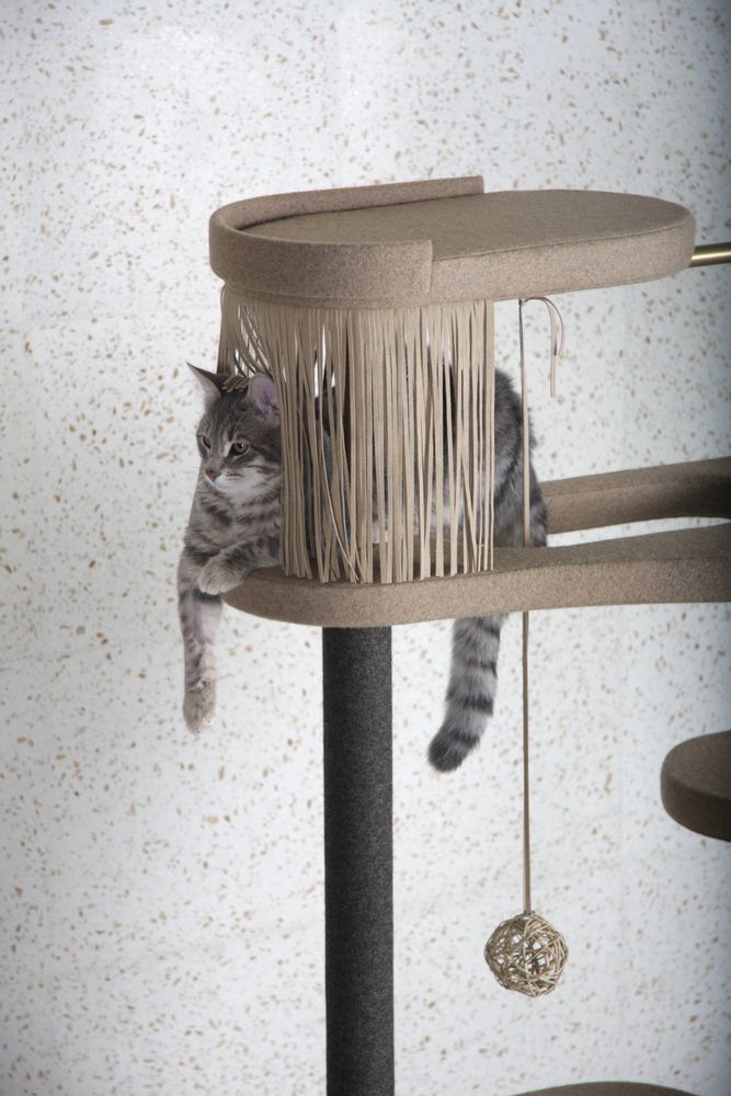 Pet accessories - Modern Cat Tree - MURR AND WOOF