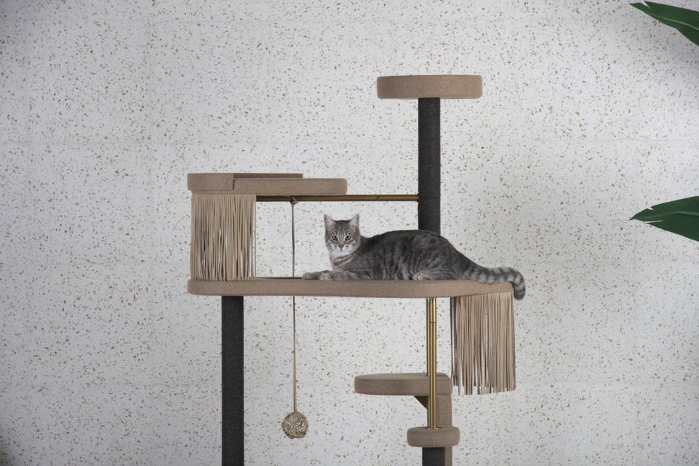 Pet accessories - Modern Cat Tree - MURR AND WOOF