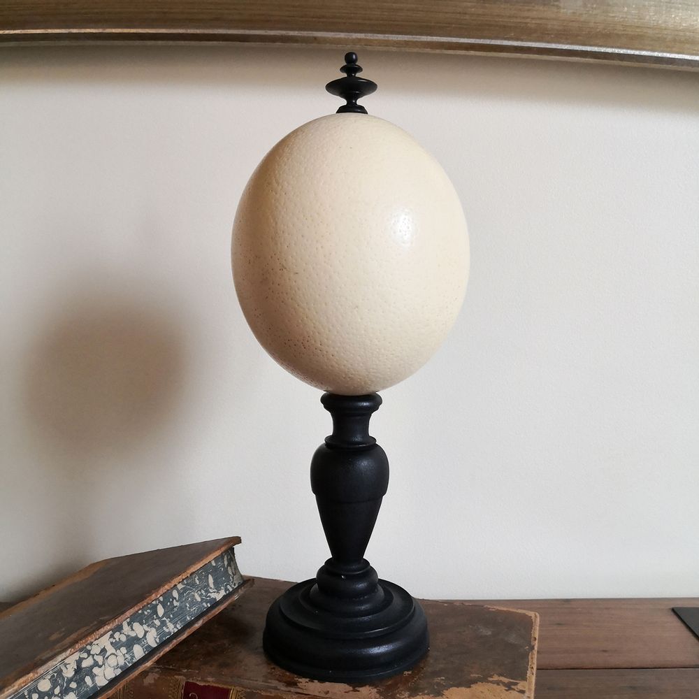 Decorative objects - Glass dome  and natural history - AN ATOLL
