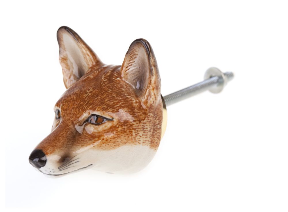Objets de décoration - Boutons de porte Wild & Crochets Fierce - AND MARY