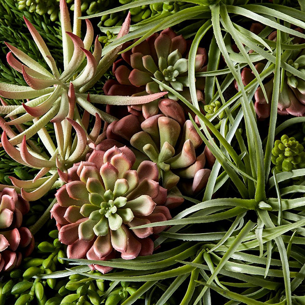 Décorations florales - décoration florale CACTUS - LOU DE CASTELLANE