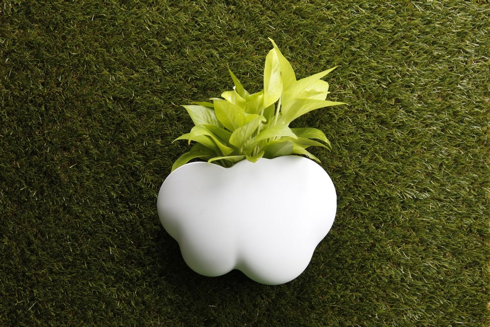 Pots de fleurs - Carepot : Pot de plantes auto-arrosage pour jardin intérieur et extérieur - QUALY DESIGN OFFICIAL