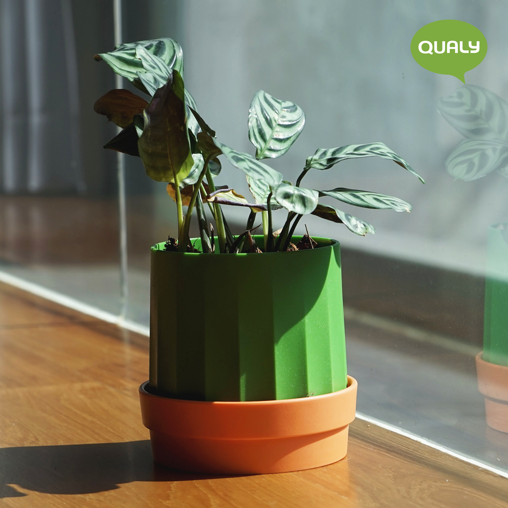 Mobilier et rangements pour bureau - Micro serre : pot de plantes auto-arrosage pour jardin intérieur et extérieur - QUALY DESIGN OFFICIAL