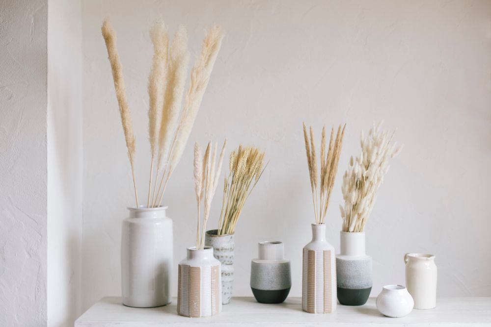 Décorations florales - Crème de fleurs séchées Phragmitos AX70128 - ANDREA HOUSE