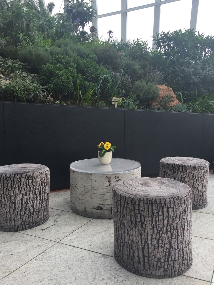 Decorative objects - Birch Tree Coffee Table - MEROWINGS