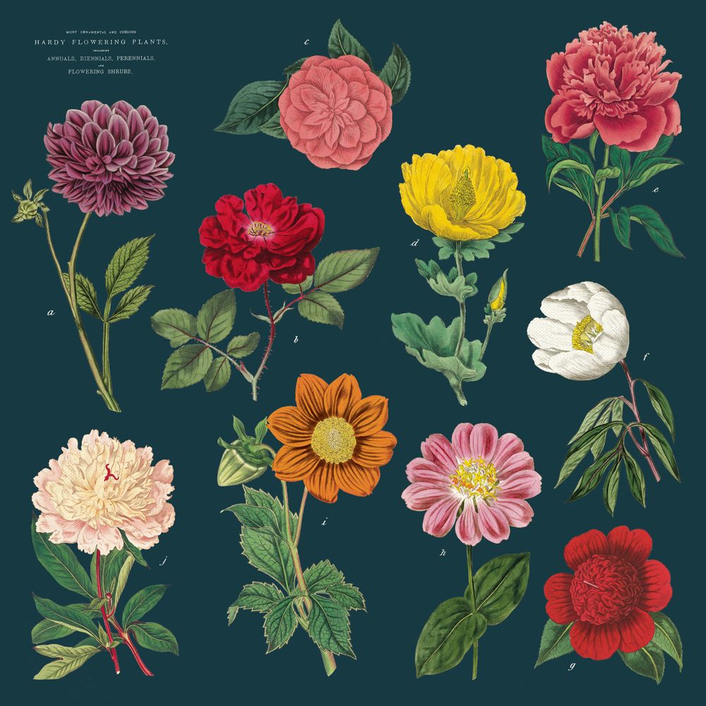 Linge de table textile - Serviettes de table Cavallini - CAVALLINI & CO.