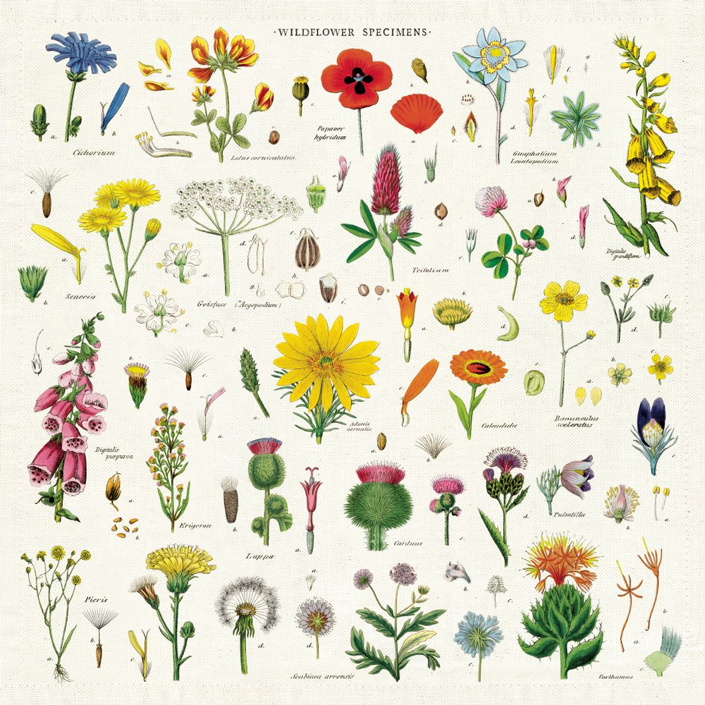 Linge de table textile - Serviettes de table Cavallini - CAVALLINI & CO.