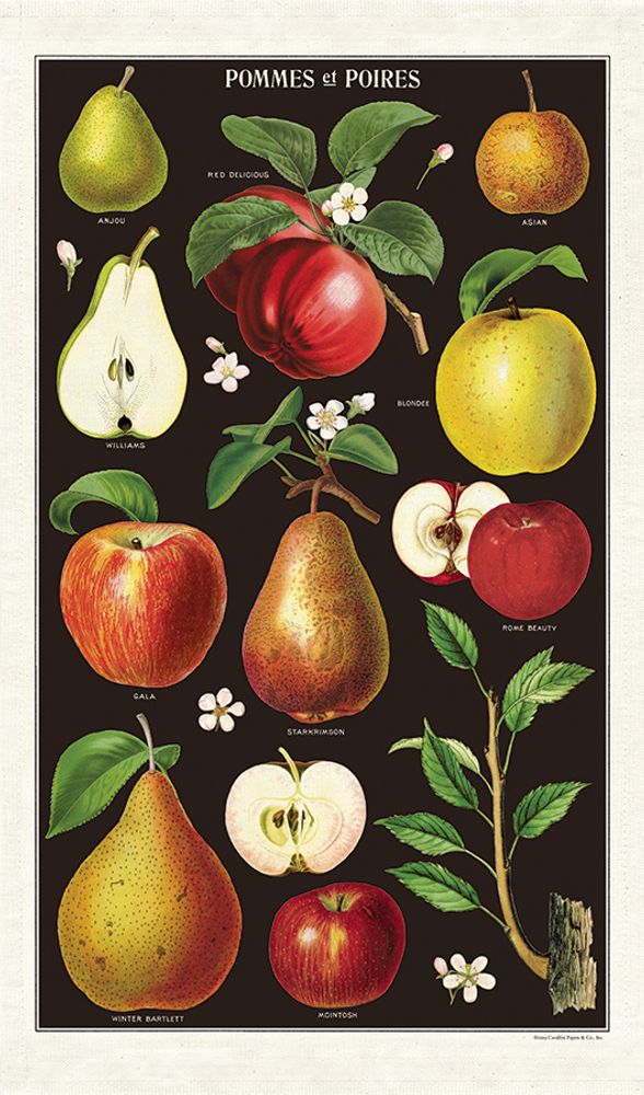 Dish towels - Cavallini's tea towels - CAVALLINI PAPER & CO.