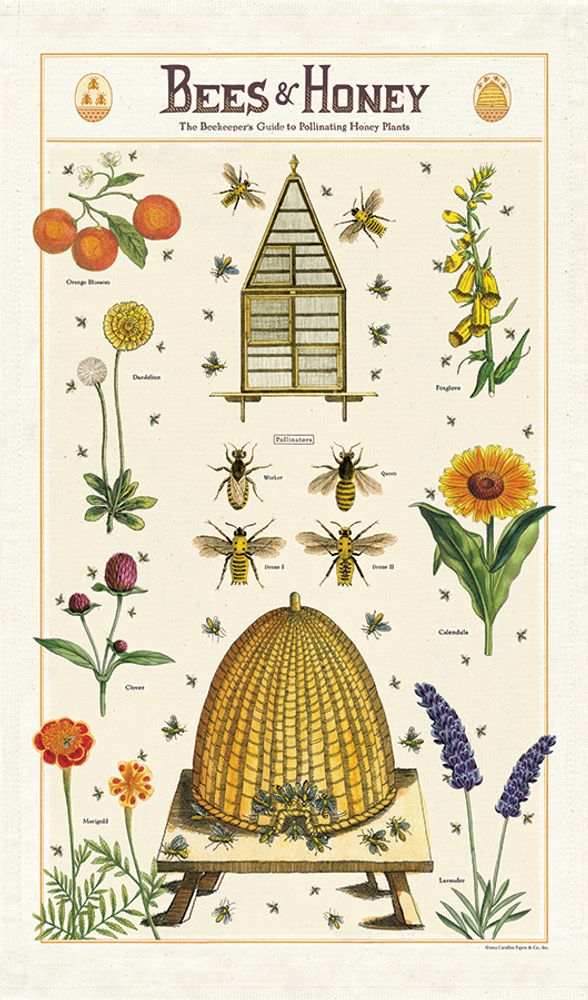 Dish towels - Cavallini's tea towels - CAVALLINI PAPER & CO.