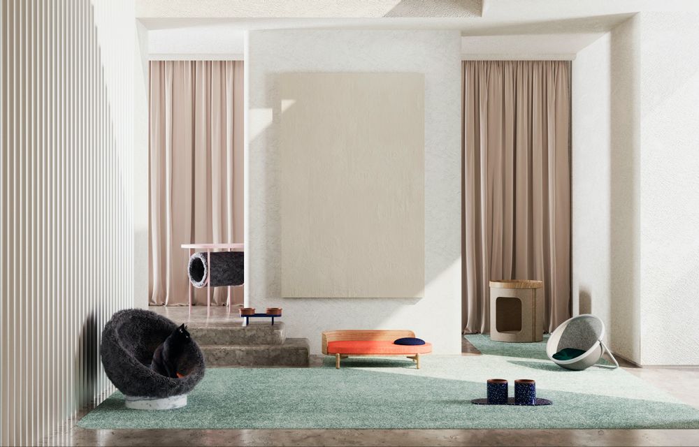 Pet accessories - Lotto - MURR AND WOOF