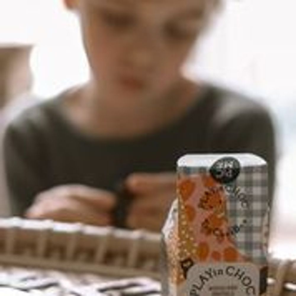 Gifts - PLAYin CHOC ToyChoc Box Woodland Animals collection - PLAYIN CHOC