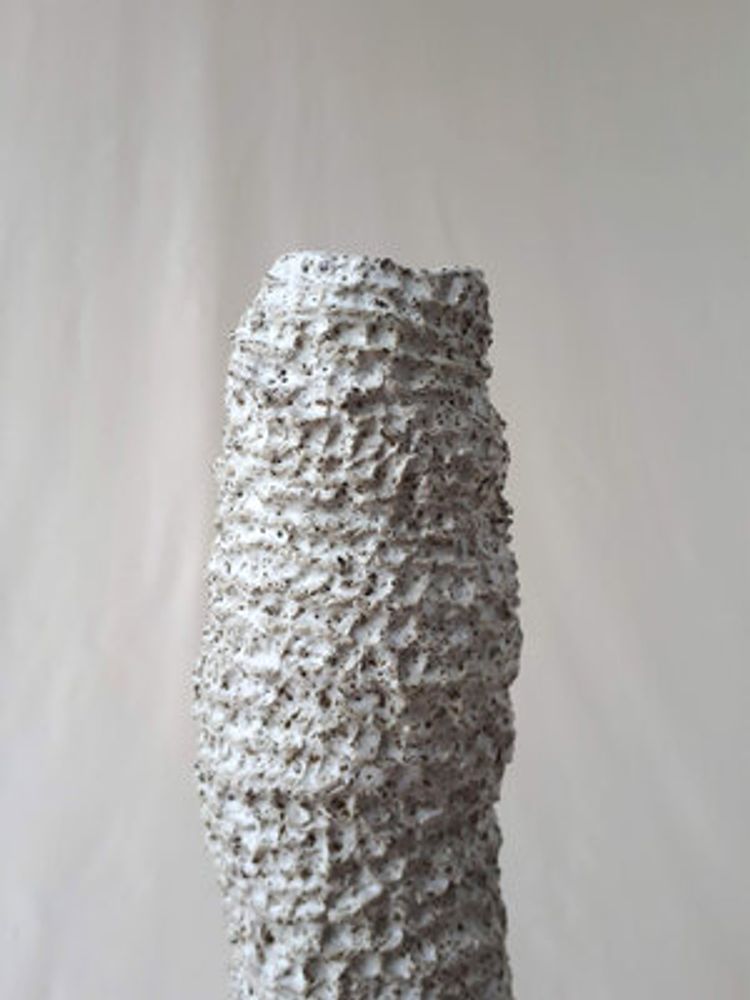 Ceramic - Porifera Large Vase - LA ALFARERA