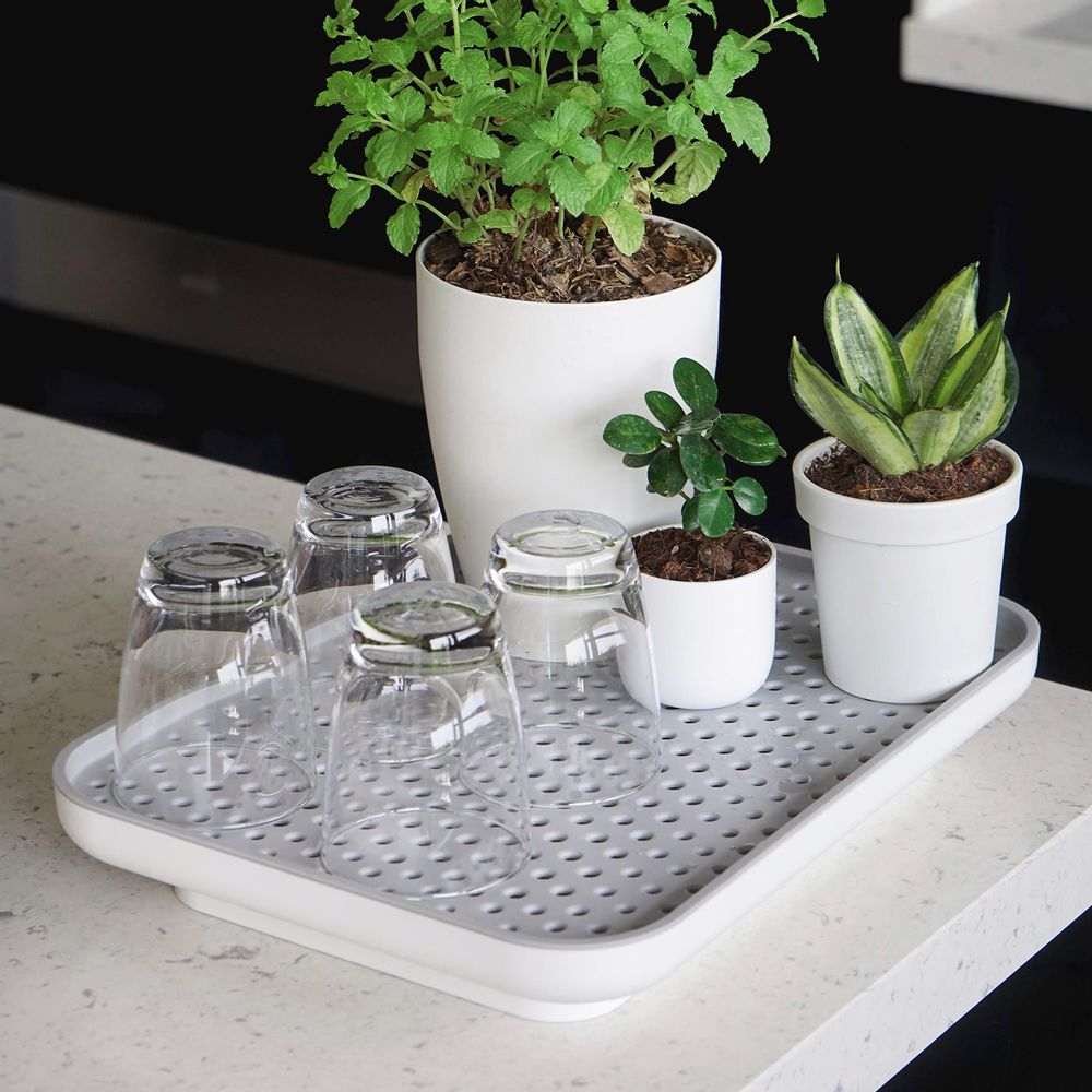 Floral decoration - Oasis Tray : Self-Watering Plant Tray for indoor and outdoor garden pot - QUALY DESIGN OFFICIAL