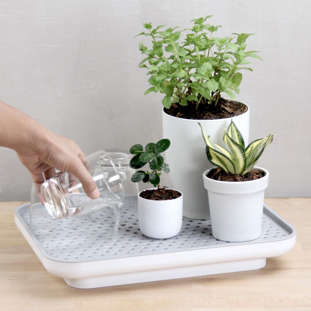 Floral decoration - Oasis Tray : Self-Watering Plant Tray for indoor and outdoor garden pot - QUALY DESIGN OFFICIAL
