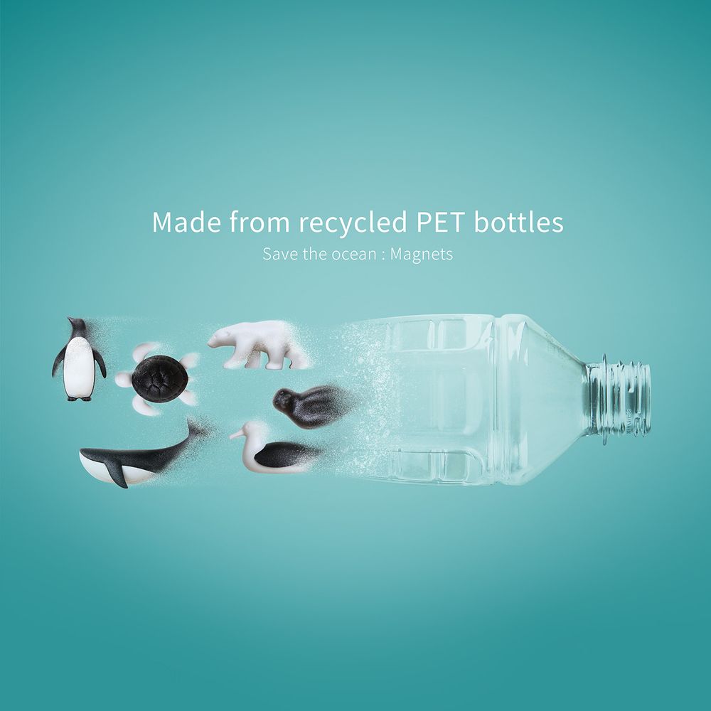 Gifts - Save The Ocean Magnets : Ocean Stationery Collection : Eco-Friendly Material 100% recyclable. - QUALY DESIGN OFFICIAL