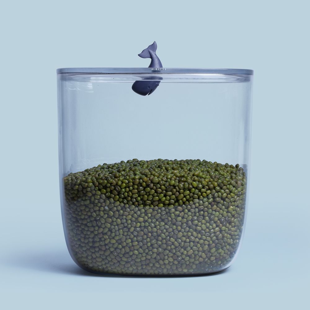 Kitchens furniture - Moby Whale Ocean Container 3.5L : Ocean Kitchen Collection: Eco-Friendly Materials Household Houseware - QUALY DESIGN OFFICIAL