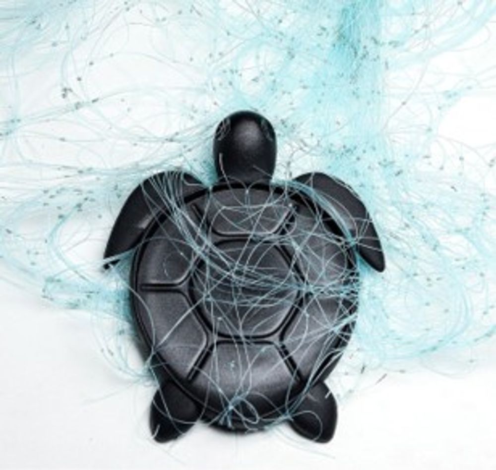 Kitchens furniture - Save The Turtle Coaster : Made from Recycled Plastic |Eco-Friendly Materials : Ocean Kitchen Collection : 100% recyclable - QUALY DESIGN OFFICIAL