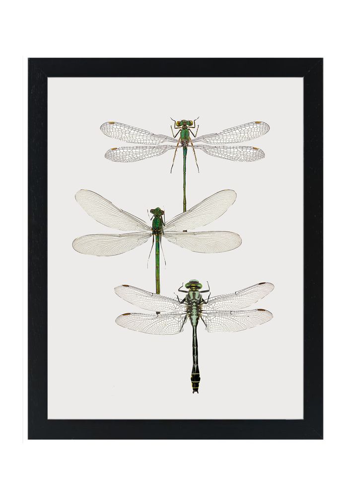 Gifts - Framed mini prints - LILJEBERGS