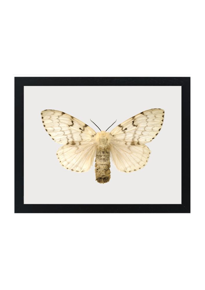 Gifts - Framed mini prints - LILJEBERGS