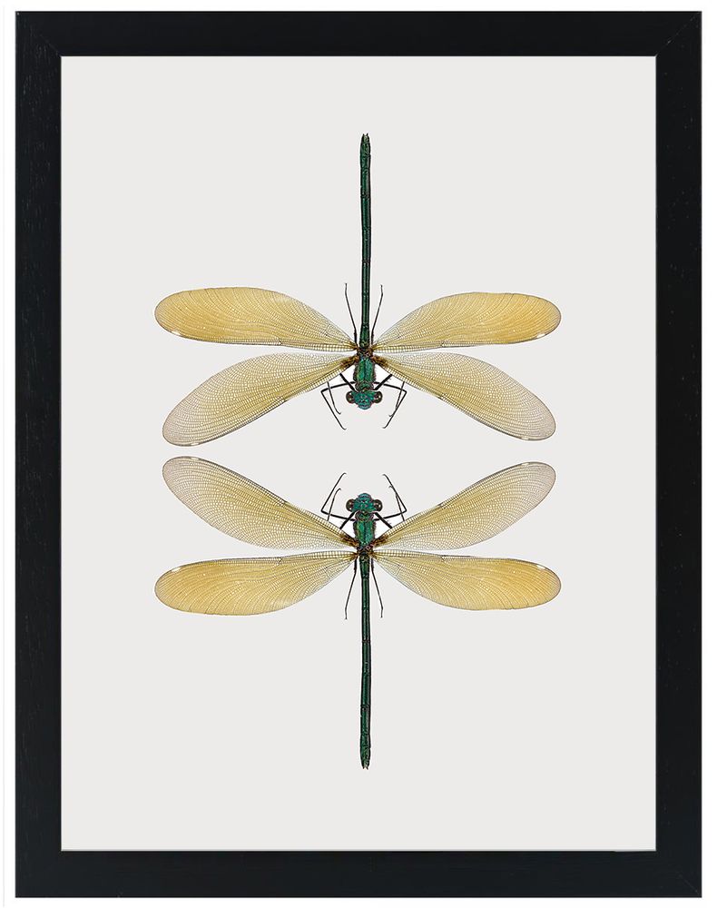 Gifts - Framed mini prints - LILJEBERGS