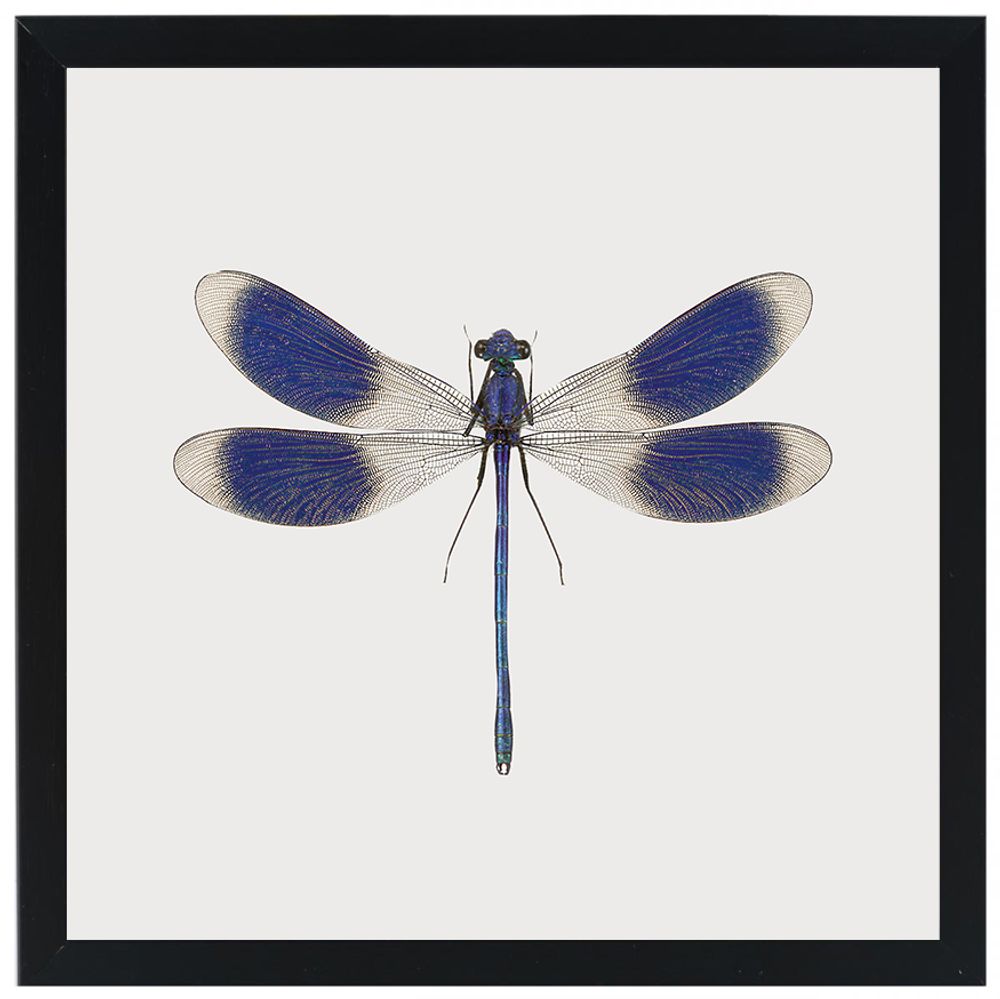 Gifts - Framed mini prints - LILJEBERGS