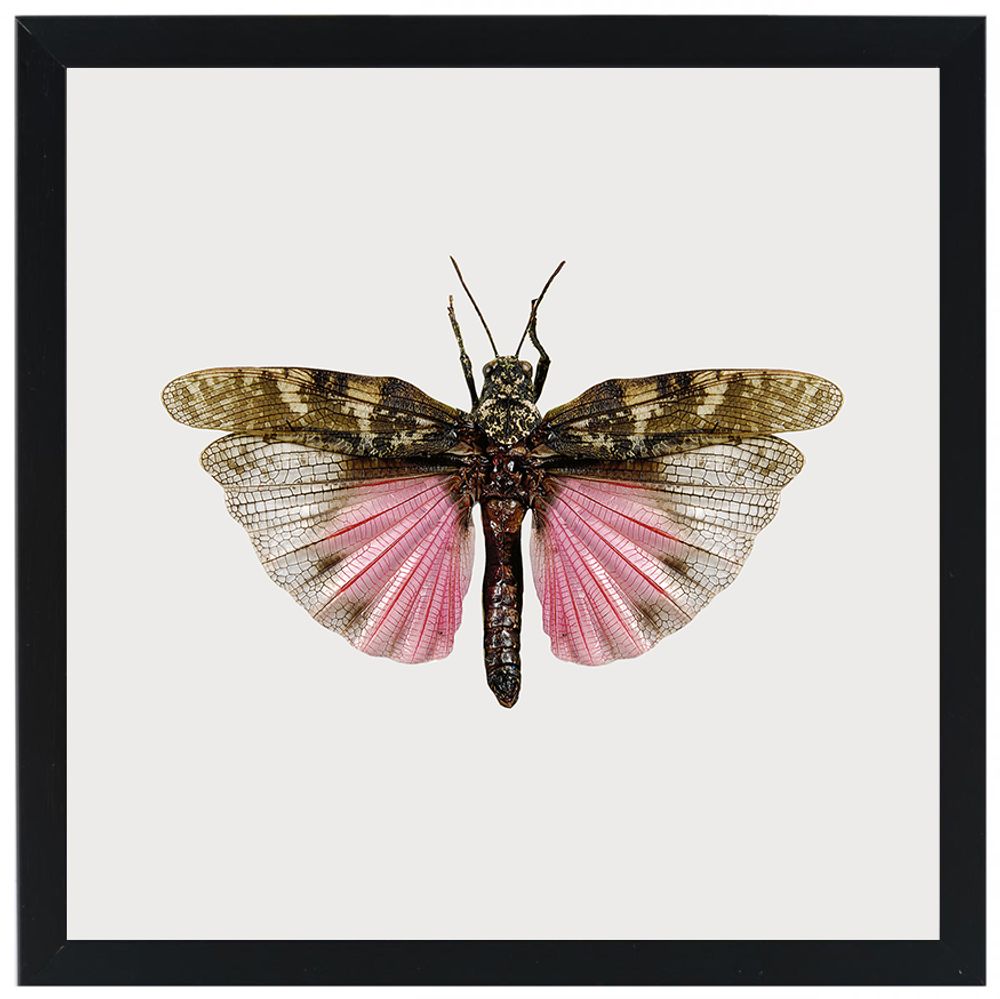 Gifts - Framed mini prints - LILJEBERGS