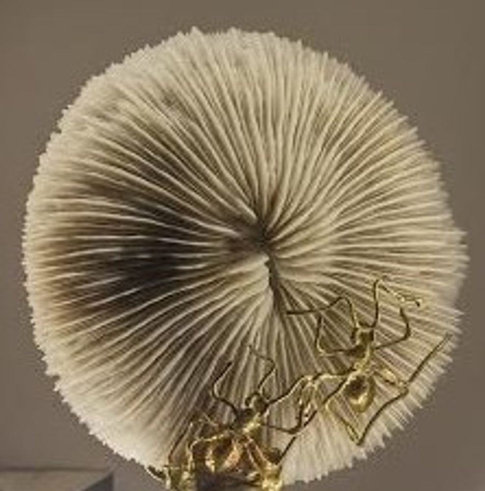 Writing desks - Lamp VARCO  - PATRIZIA CORVAGLIA JEWELRY AND ART