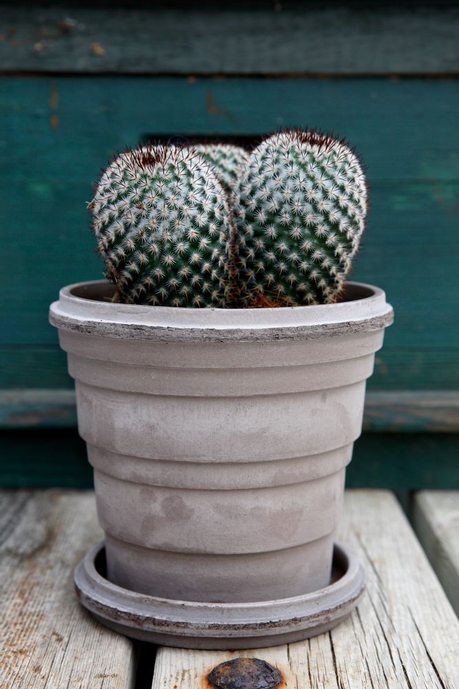 Poterie - Les pots Planets - BERGS POTTER