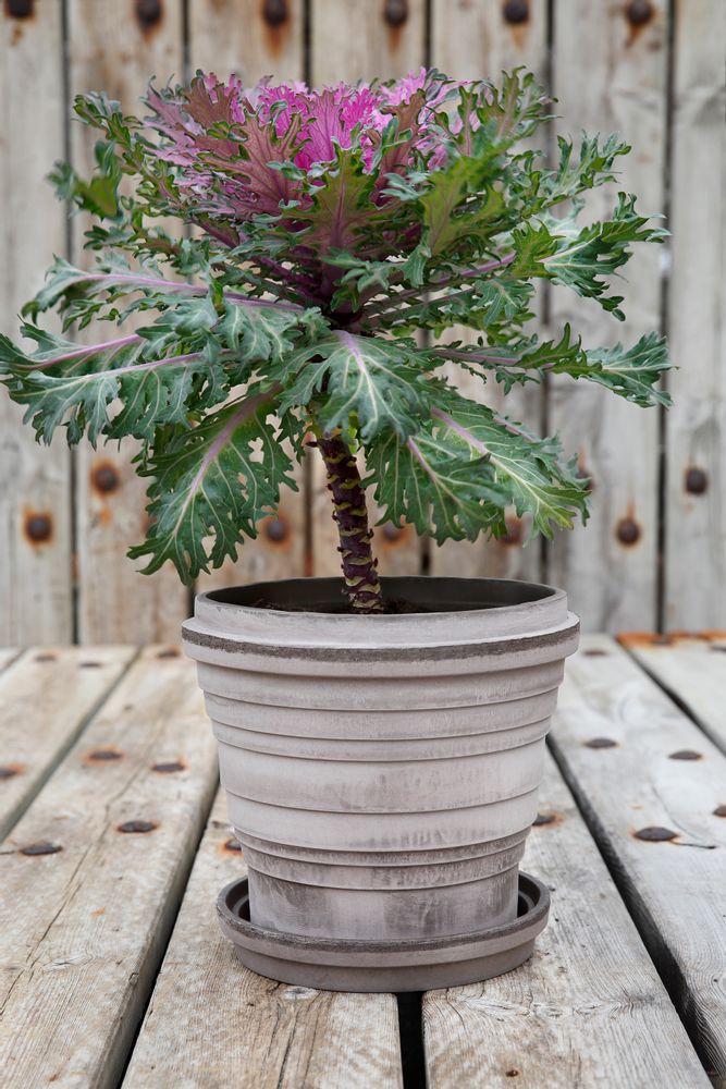 Poterie - Les pots Planets - BERGS POTTER