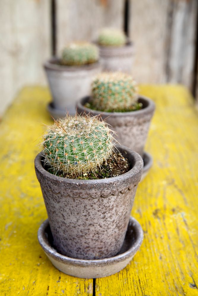 Poterie - Pots de fleur Helena - BERGS POTTER