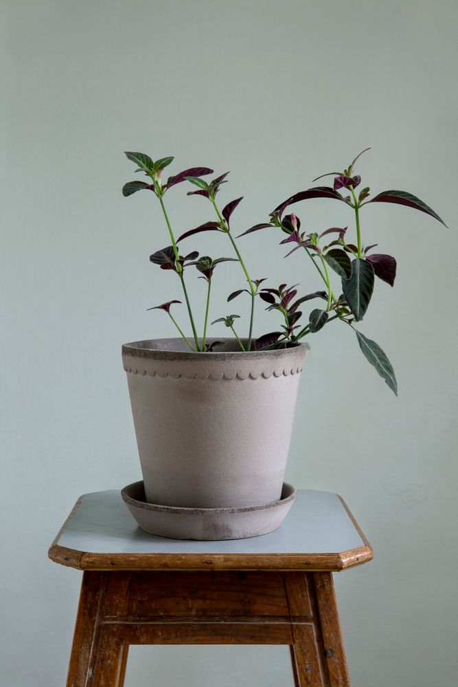 Poterie - Pots de fleur Helena - BERGS POTTER