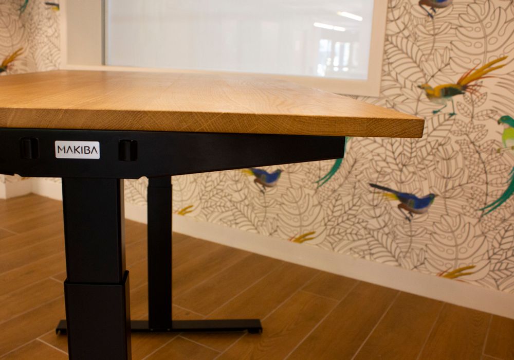 Bureaux - UGO – Bureau actif électrique réglable en hauteur - MAKIBA