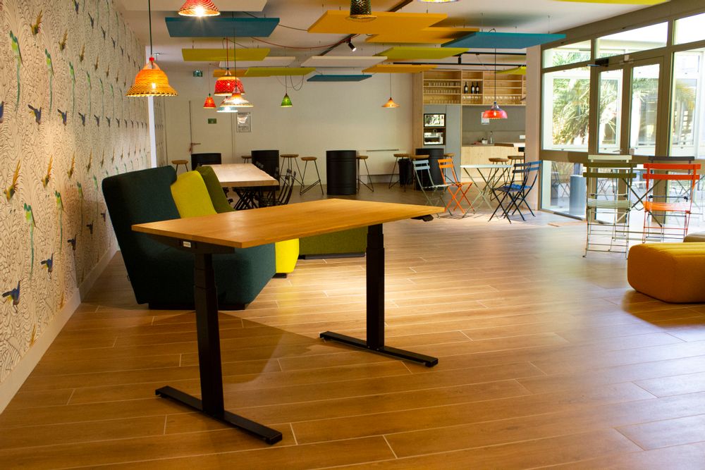 Bureaux - UGO – Bureau actif électrique réglable en hauteur - MAKIBA
