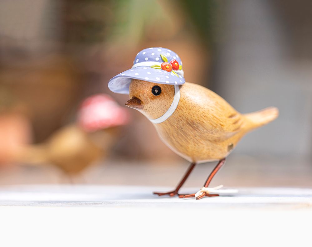 Homewear - NEW: Bonnie Birds - DCUK
