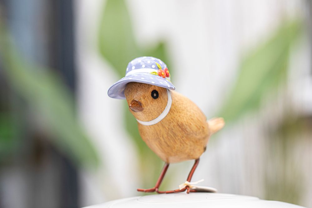Homewear - NEW: Bonnie Birds - DCUK