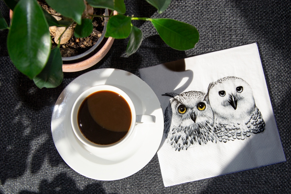 Children's party goods - Paper Napkins - CHARLOTTE NICOLIN