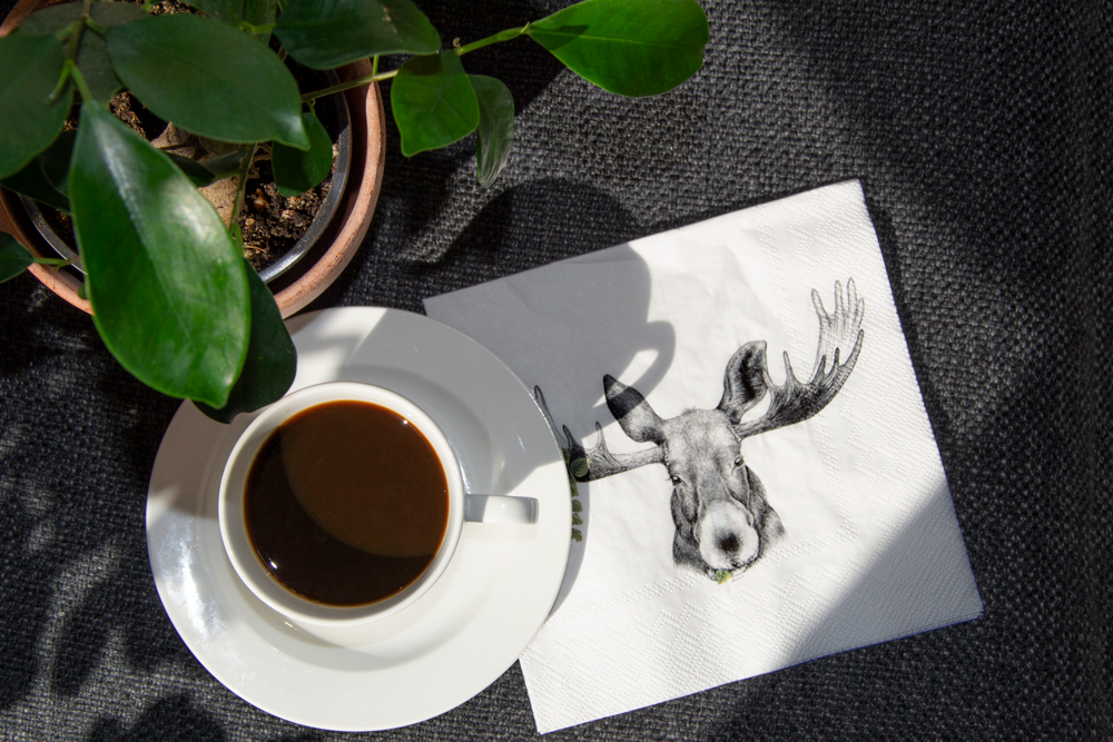 Children's party goods - Paper Napkins - CHARLOTTE NICOLIN