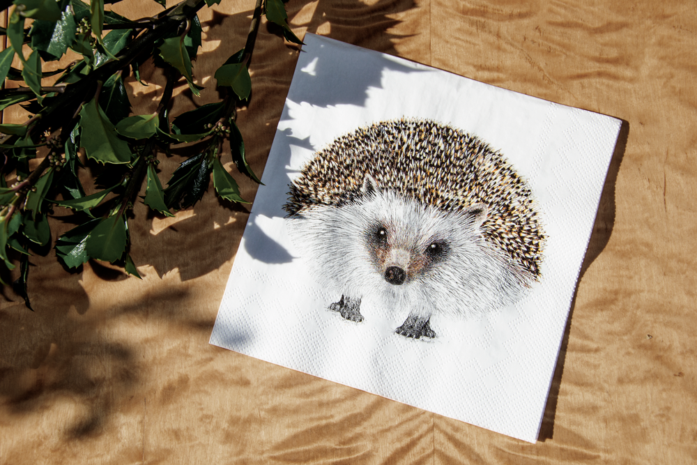 Children's party goods - Paper Napkins - CHARLOTTE NICOLIN