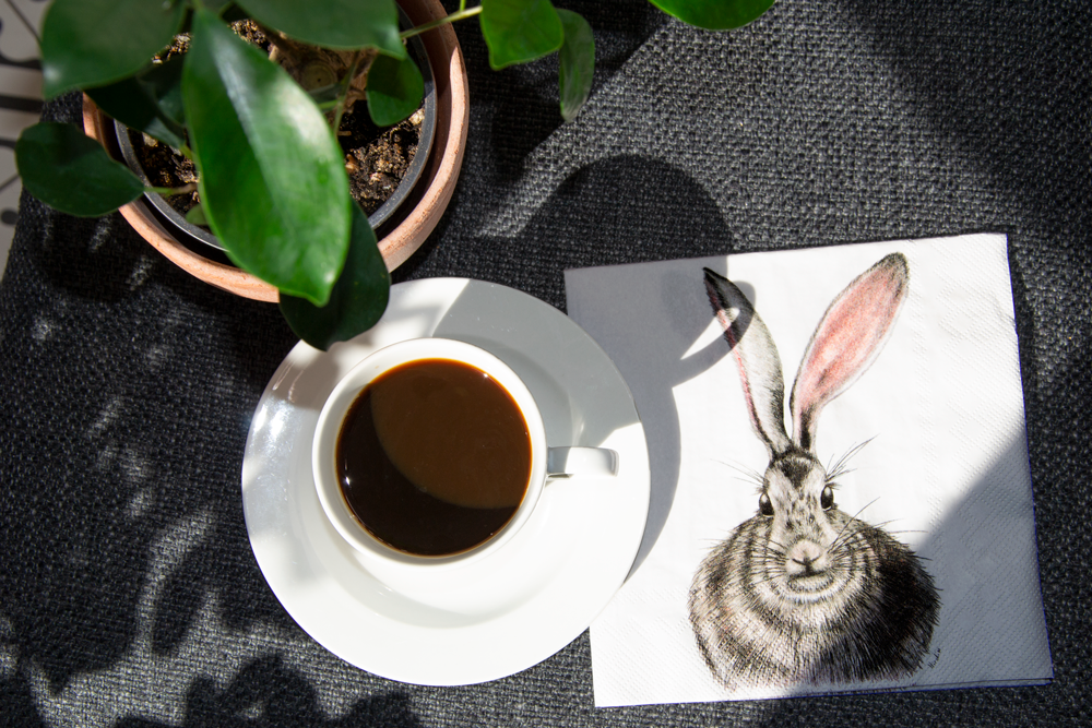 Children's party goods - Paper Napkins - CHARLOTTE NICOLIN