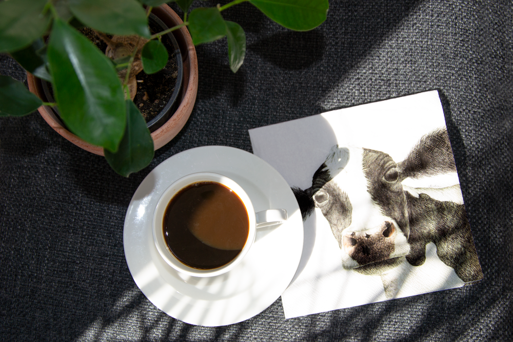 Children's party goods - Paper Napkins - CHARLOTTE NICOLIN