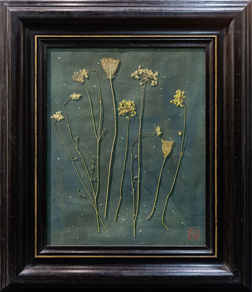 Objets de décoration - Peinture Herbarium XXL Brc - OFFICINA NATURALIS