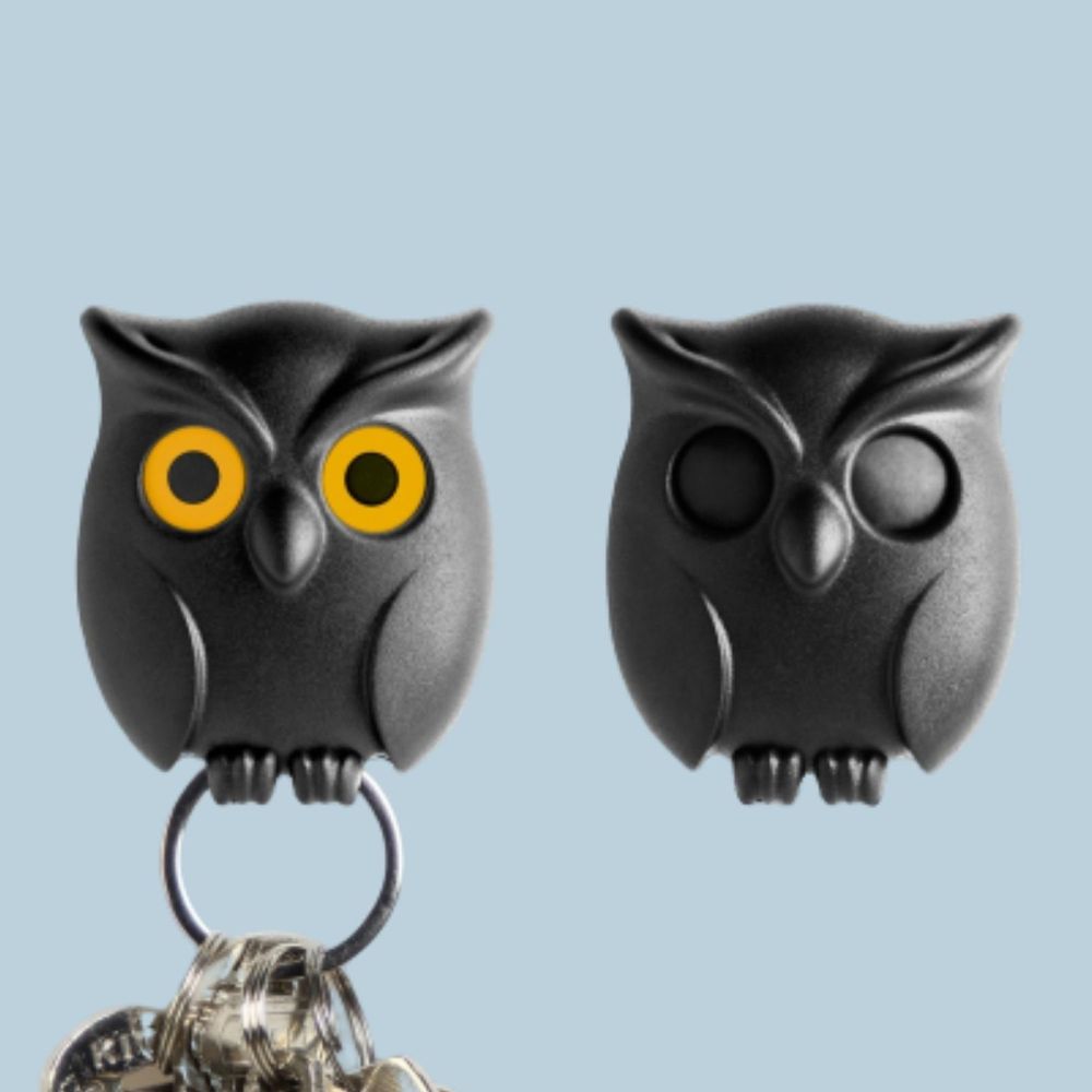 Range-tout - Hibou de nuit : collection porte-clés - QUALY DESIGN OFFICIAL